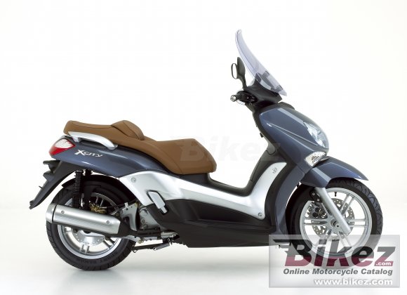 2008 Yamaha X-City 250 photo